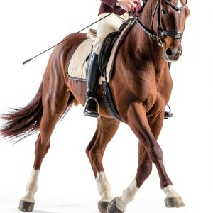 Born to Ride Series Equestrian Fiction Kindle eBook Teen-0