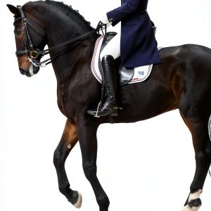 Toni Mari Books Equestrian Nonfiction Kindle eBook Series-0