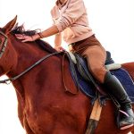 MCC Books Equestrian Nonfiction Kindle eBook Teen Horse-0