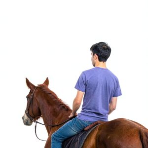 10,000 Lakes Publishing Equestrian Humor Nonfiction eBook-0