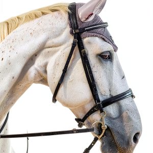 Show Barn Blues Equestrian Fiction Kindle eBook English-0