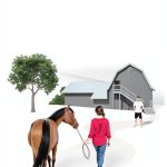 Equestrian Nonfiction Book English Kindle Edition Teen Young-0