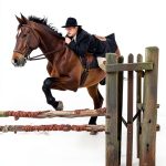 Bracken Stables Equestrian Nonfiction Kindle Book Teen-0