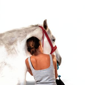 Island Series Equestrian Nonfiction English Kindle Book-0