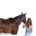 Equestrian eBook English Teen Young Adult Fiction Nonfiction-0