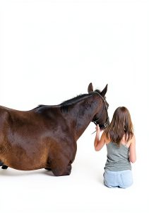 Equestrian eBook English Teen Young Adult Fiction Nonfiction-0