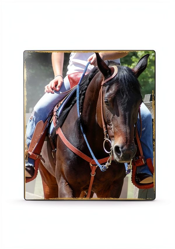 Keith Hosman Horse Riding Guide Equestrian Training eBook-0