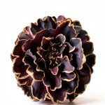 GSands Publishing The Fallen Book 1 Alpha Male Romance-0